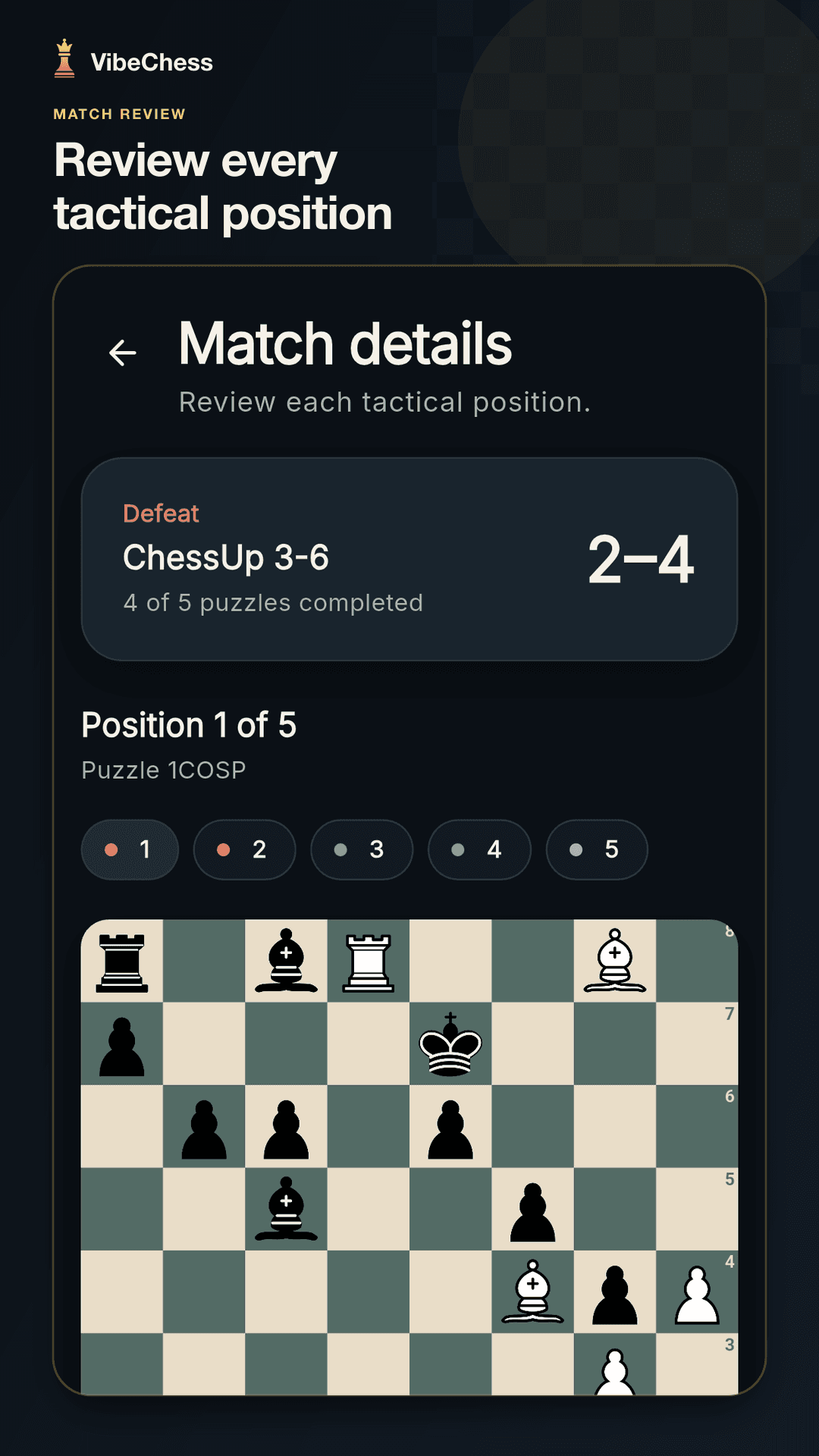 VibeChess match details and tactical position review
